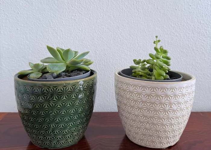 Апартаменты Casa Do Cacto - 2 Bedroom Мадалена