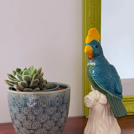 Casa Do Cacto - 2 Bedroom *