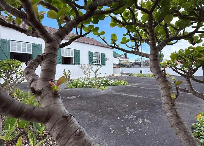 Casa Do Cacto - 2 Bedroom Madalena (Azores)